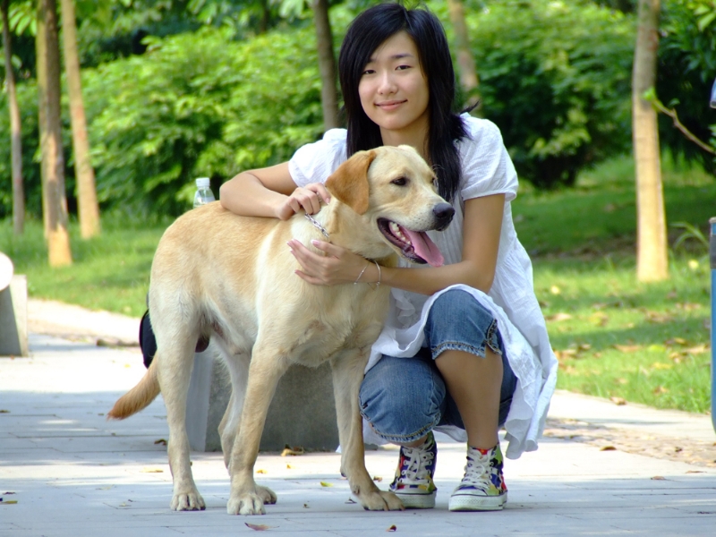 风中的绿叶的第一张照片--温州相亲服务中心