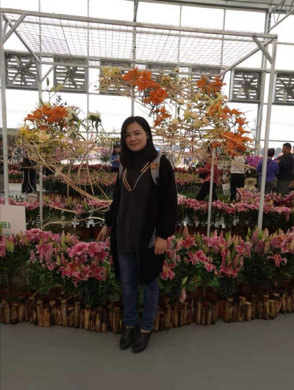 紫苏的第二张照片--温州相亲服务中心