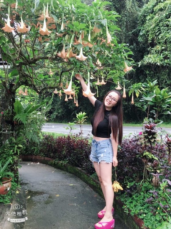 离异单身无子的第二张照片--温州相亲服务中心