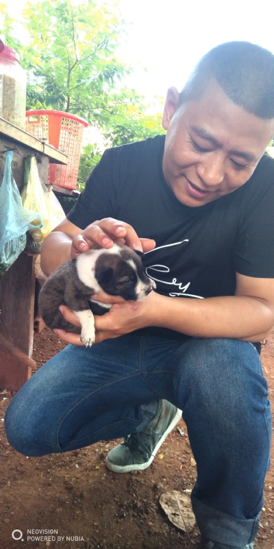 深圳相亲的第一张照片--温州相亲服务中心