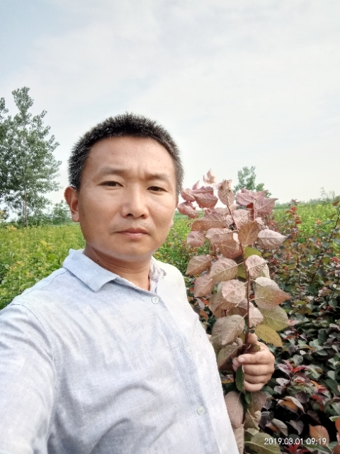 孩子爸的第二张照片--温州相亲服务中心