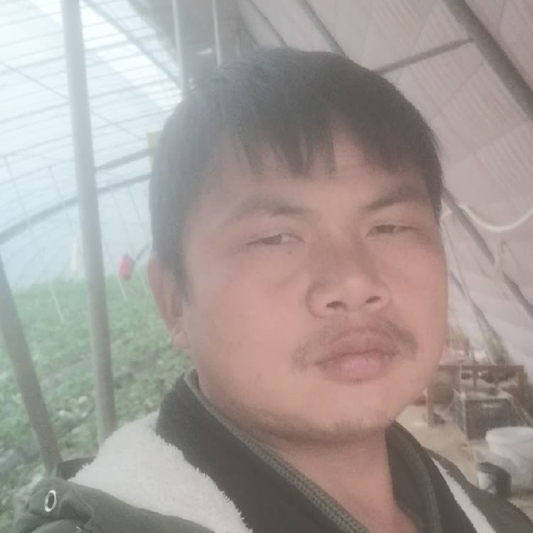 孤狼‘的第一张照片--温州相亲服务中心