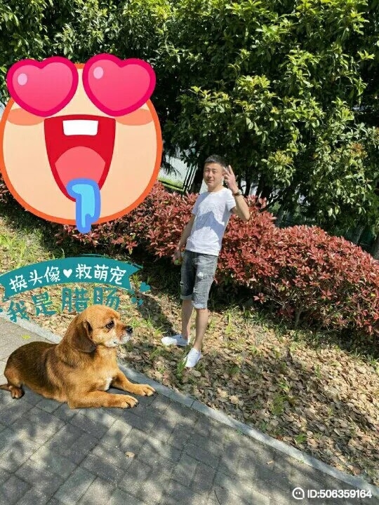 我若不坚强谁替我勇敢的第一张照片--温州相亲服务中心