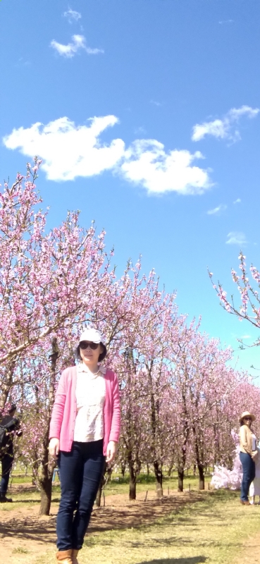 Grace的第二张照片--温州相亲服务中心