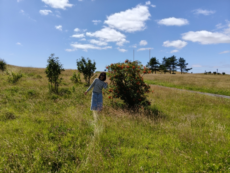 秋蝉的第一张照片--温州相亲服务中心