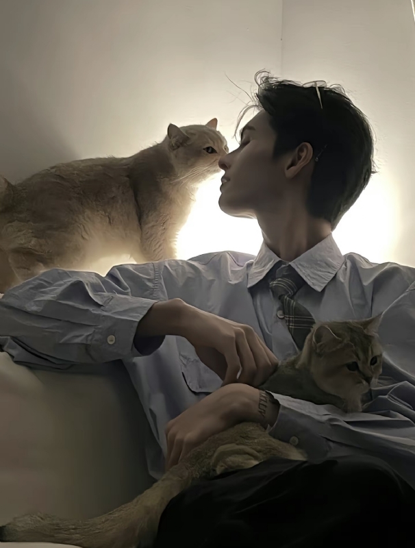 怪猫的第一张照片--温州相亲服务中心