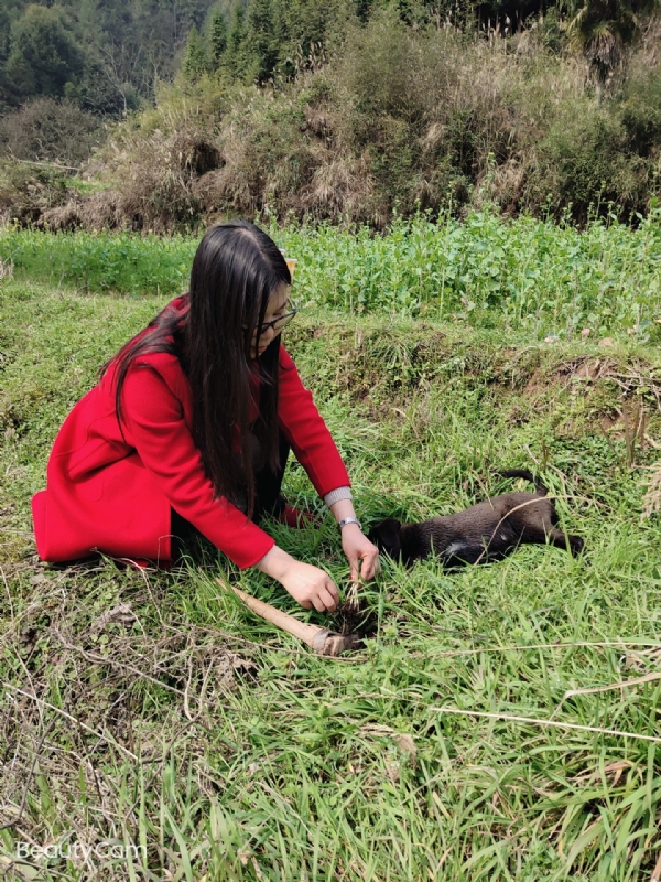 下一个春和秋的第一张照片--温州相亲服务中心