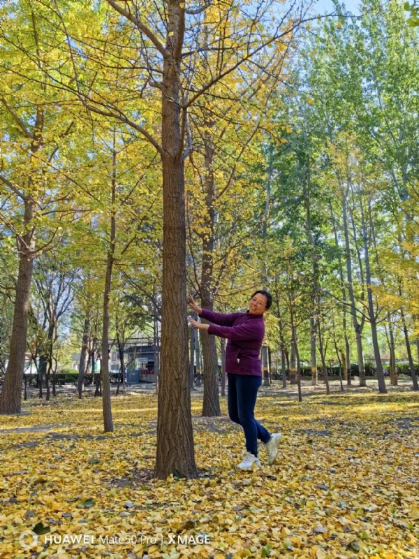 Shirley的第一张照片--温州相亲服务中心