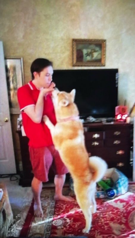 Leluch的第一张照片--温州相亲服务中心