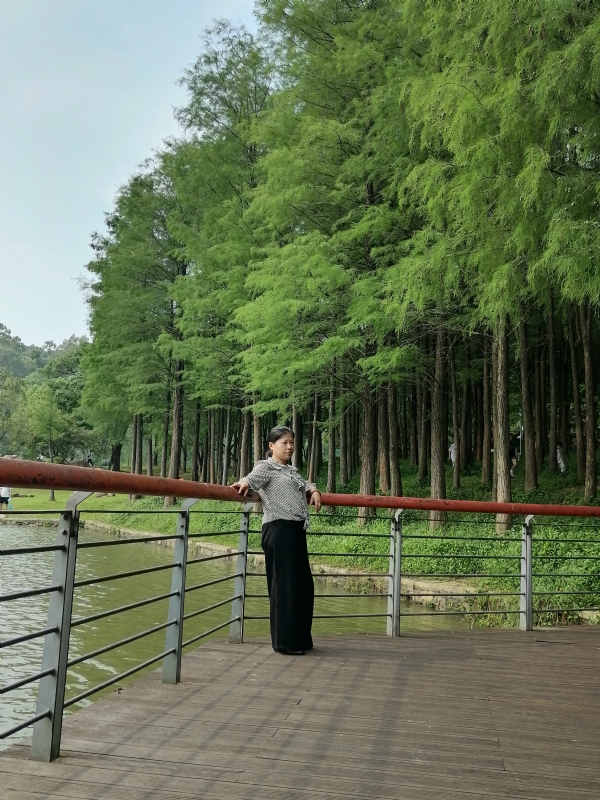 遗失的记忆的第二张照片--温州相亲服务中心