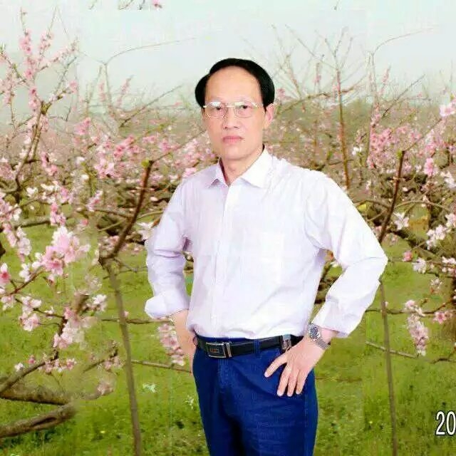 枫叶的第一张照片--温州相亲服务中心