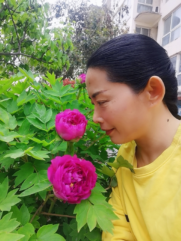 厚德载物的第一张照片--温州相亲服务中心