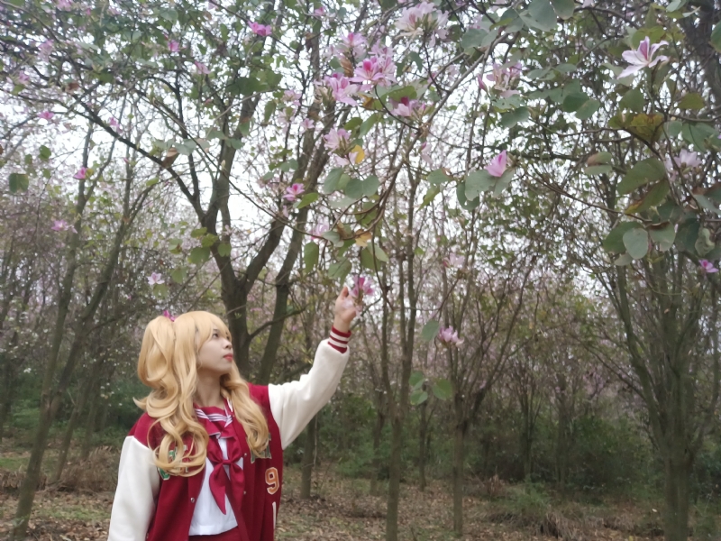 暮秋的第二张照片--温州相亲服务中心