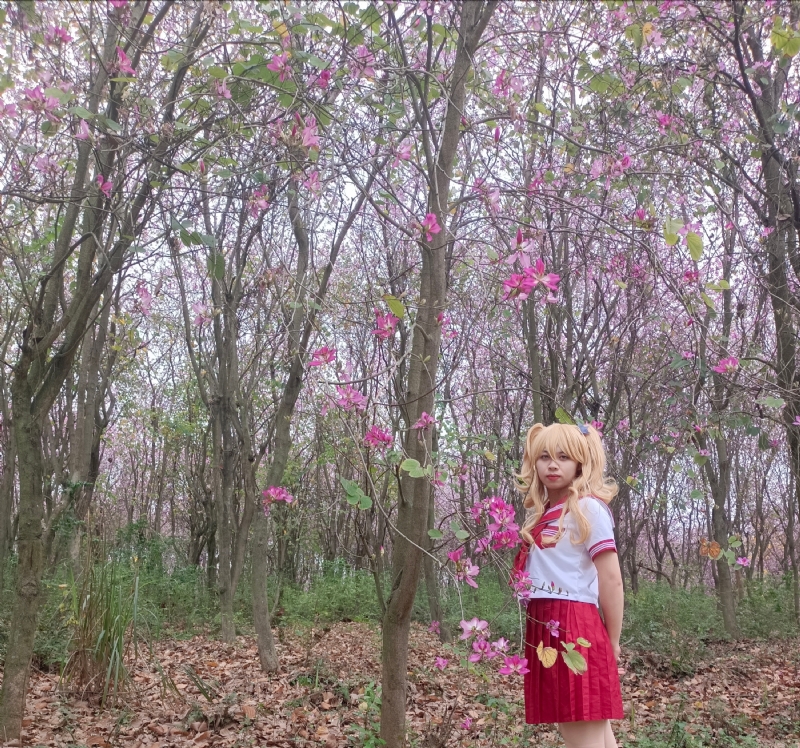 暮秋的第三张照片--温州相亲服务中心