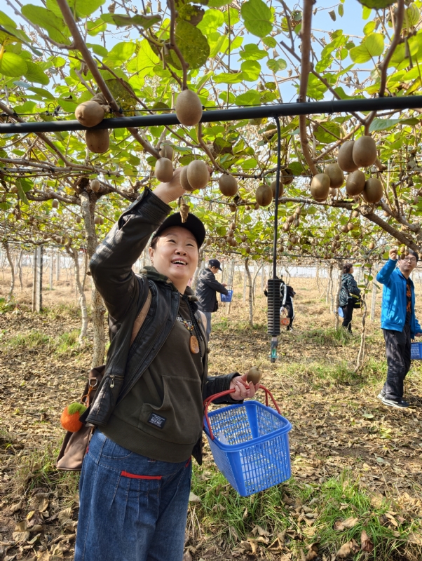 夜莺的第三张照片--温州相亲服务中心